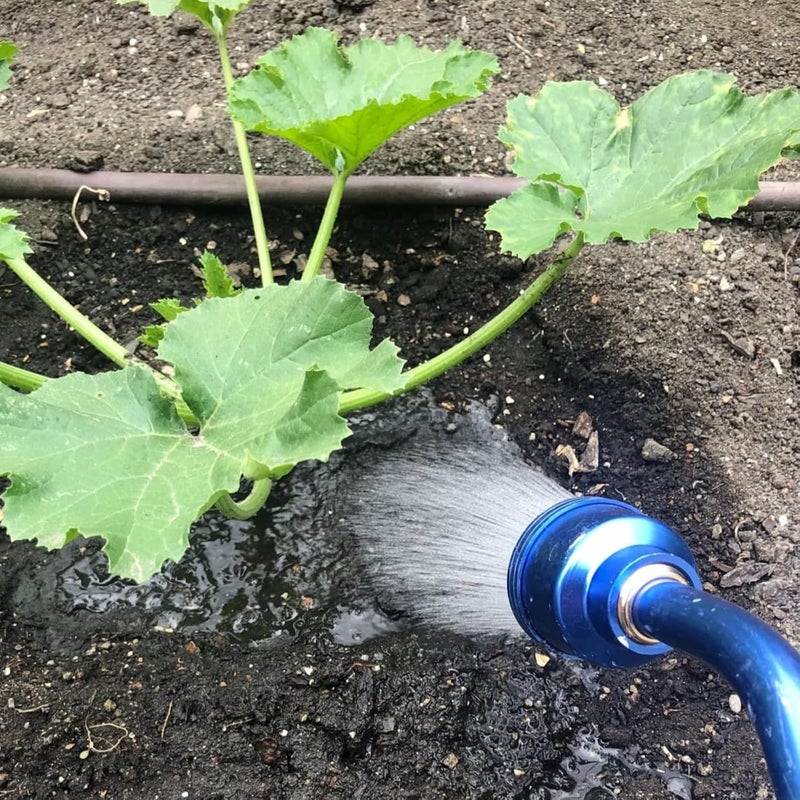 GREEN MOUNT Watering Wand, 24 Inches Sprayer Wand with Superior Stainless Head, Perfect for Hanging Baskets, Plants, Flowers, Shrubs, Garden and Lawn, Blue - Image 2